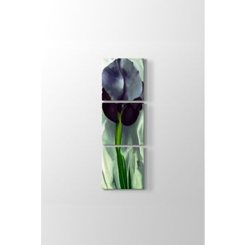 Georgia OKeeffe - Black Iris Tablosu