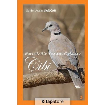 Gerçek Bir Yaşam Öyküsü Çibi - Şehim Atalay Sancar