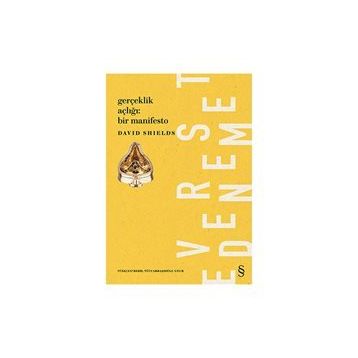 Gerçeklik Açıklığı Bir Manifesto - David Shields