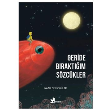 Geride Bıraktığım Sözcükler - Çınar Yayınları