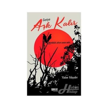 Geriye Aşk Kalır - Yalım Yılaydın
