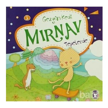 GEZGIN KEDI MIRNAV TEPELERDE - FATMA IŞIK