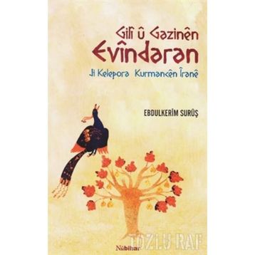 Gili ü Gazinen Evindaran - Ebdulkerim Surüş