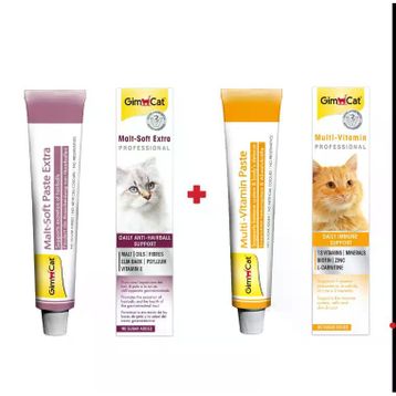 GimCat Soft Extra 20 gr Malt + 20 gr Multivitamin Set