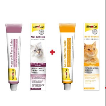 GimCat Soft Extra 20 gr Malt + 20 gr Multivitamin Set