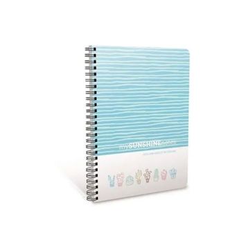 Gıpta 4110 Sunshine A6 Çizgili 80 Yaprak Defter