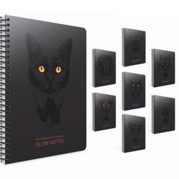 Gıpta Glow Notes Spiralli Sert Kapak 120 Yaprak 19x26 Çizgili Defter