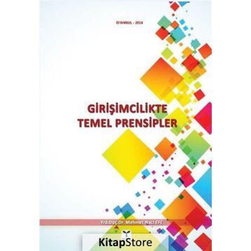 Girişimcilikte Temel Prensipler - Mehmet Naci Efe
