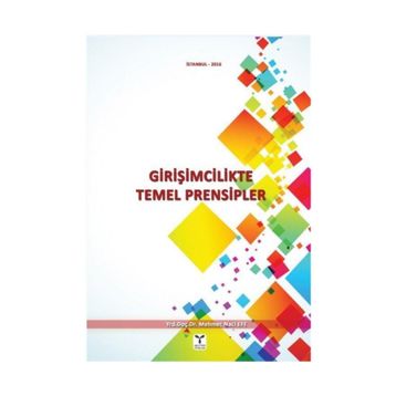 Girişimcilikte Temel Prensipler - Mehmet Naci Efe