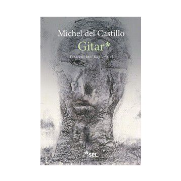 Gitar - Michel del Castillo