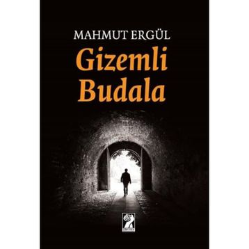 Gizemli Budala - Mahmut Ergül