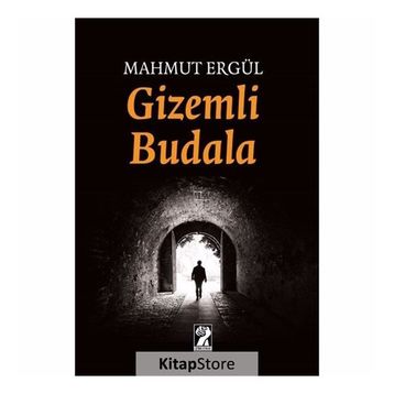 Gizemli Budala - Mahmut Ergül