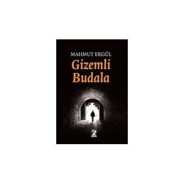 Gizemli Budala - Mahmut Ergül