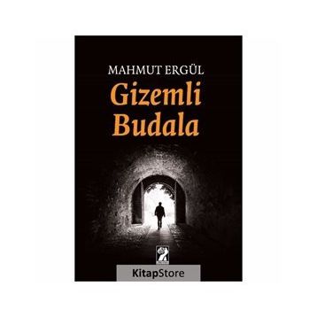Gizemli Budala - Mahmut Ergül