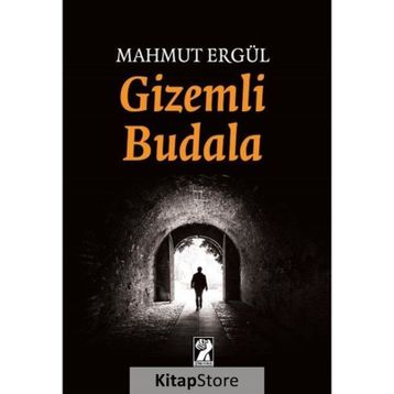 Gizemli Budala - Mahmut Ergül