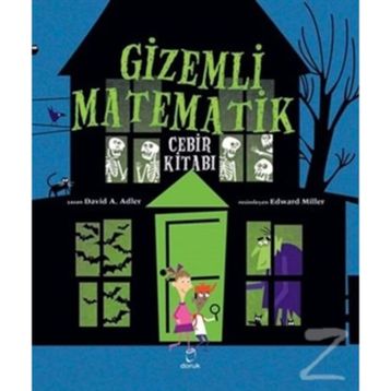 Gizemli Matematik - David A. Adler