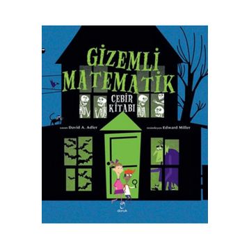 Gizemli Matematik Doruk Yayınları