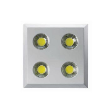 Global K2 KDL290 3000K Günışığı 32 Watt Beyaz Kasa Sıva Üstü Cob Led Spot Armatür