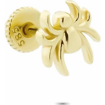 Glorria Örümcek Helix 14 Ayar Altın Piercing