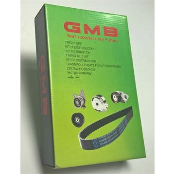 GMB GTK 502203 Eksantrik Rulman Triger Seti