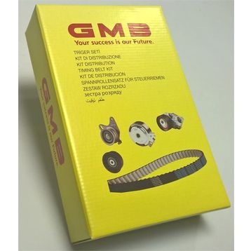 GMB VT102203 Eksantrik Rulman Triger Seti