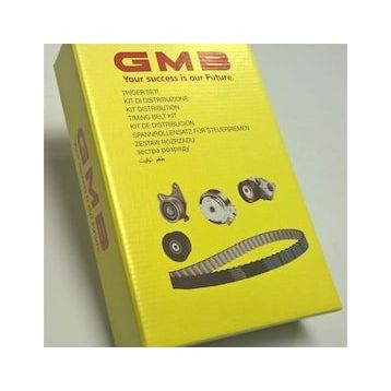 GMB VT102203 Eksantrik Rulman Triger Seti