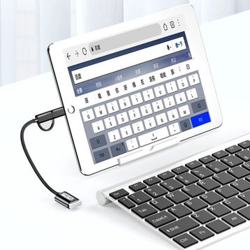 Go Des GD-CT033 2 in 1 Micro - Type-C Otg