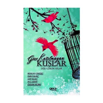 Göçe Katılmayan Kuşlar - Berkay Cengiz Emre