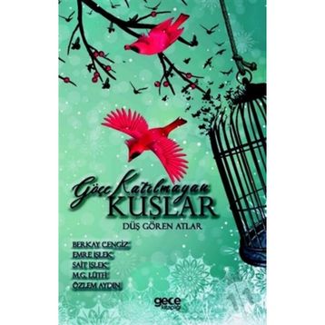 Göçe Katılmayan Kuşlar - Berkay Cengiz Emre