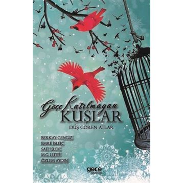 Göçe Katılmayan Kuşlar - Berkay Cengiz Emre