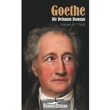 Goethe Bir Dehanın Romanı - Hasan Ali Yücel