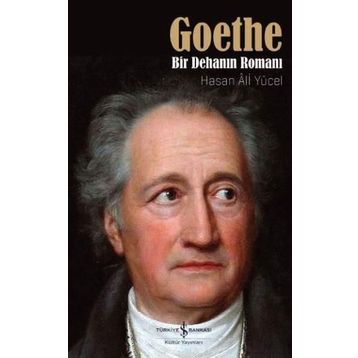Goethe Bir Dehanın Romanı - Hasan Ali Yücel
