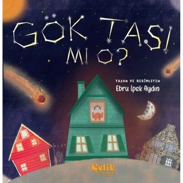 Gök Taşı Mı O - Ebru İpek Aydın