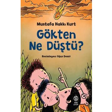 Gökten Ne Düştü? - Mustafa Hakkı Kurt