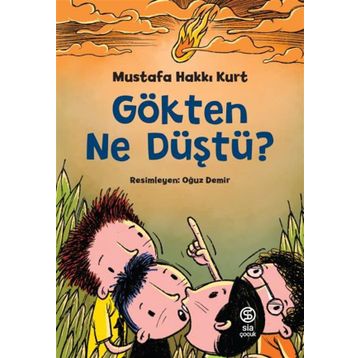 Gökten Ne Düştü? - Mustafa Hakkı Kurt