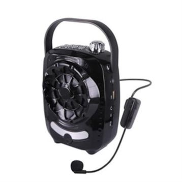 Gold Audio Gr-11 Mikrofonlu Bluetooth Hoparlör