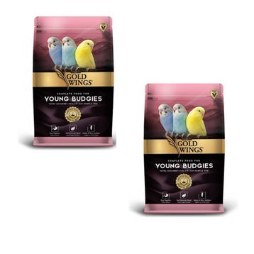 Gold Wings Premium Yavru Muhabbet Kuşu 2x1 kg Kuş Yemi