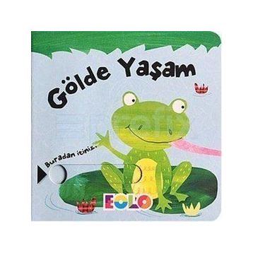 Gölde Yaşam - Rachael Elliot