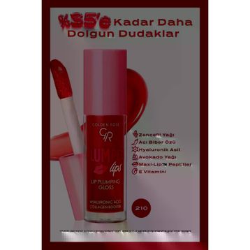 Golden Rose 210 Kahverengi Lip Plumping Gloss Dolgunlaştırıcı Dudak Parlatıcısı