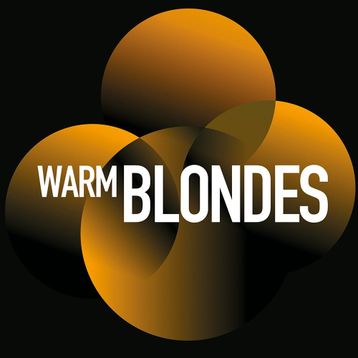 Goldwell Topchic 10GB Sahara Pastel Bej Sarı Saç Boyası
