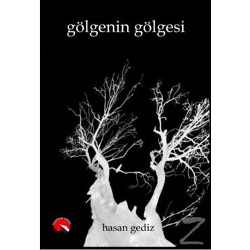 Gölgenin Gölgesi - Hasan Gediz