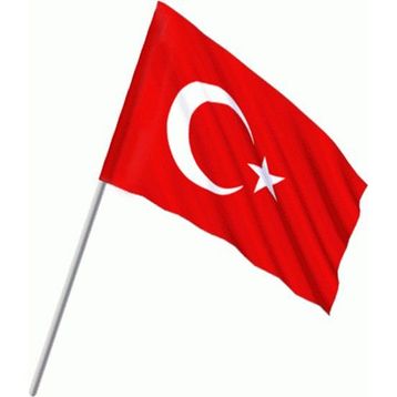 Gönder Bayrak 50x75 cm Türk Bayrağı Sopalı