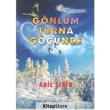 Gönlüm Turna Göçünde - Adil Şirin