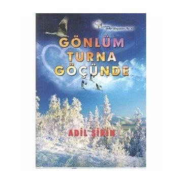 Gönlüm Turna Göçünde - Adil Şirin