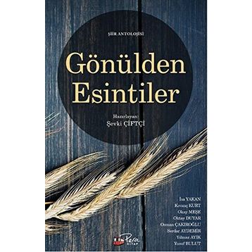 Gönülden Esintiler - Şevki Çiftçi