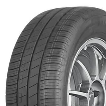 Goodyear 205/55R16 91V EfficientGrip Performance EV FI Yaz Lastiği 2025