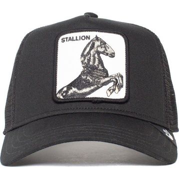Goorin Bros 101-0393 the Stallion Siyah Unisex Şapka