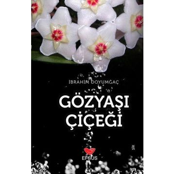 Gözyaşı Çiçeği - İbrahim Doyumgaç
