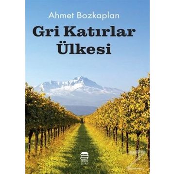 Gri Katırlar Ülkesi - Ahmet Bozkaplan