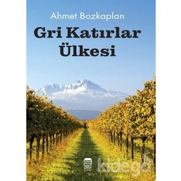 Gri Katırlar Ülkesi - Ahmet Bozkaplan